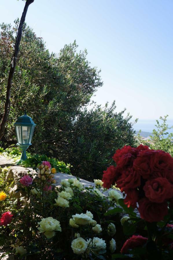 Marina - Holiday Home With Sea View Makarska Extérieur photo
